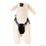 Loungefly Pets Peanuts 75th Anniversary Snoopy & Gang Dog Harness