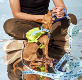 Loungefly Pets Peter Pan Tinker Bell Cosplay Glitter Mini Backpack Dog Harness